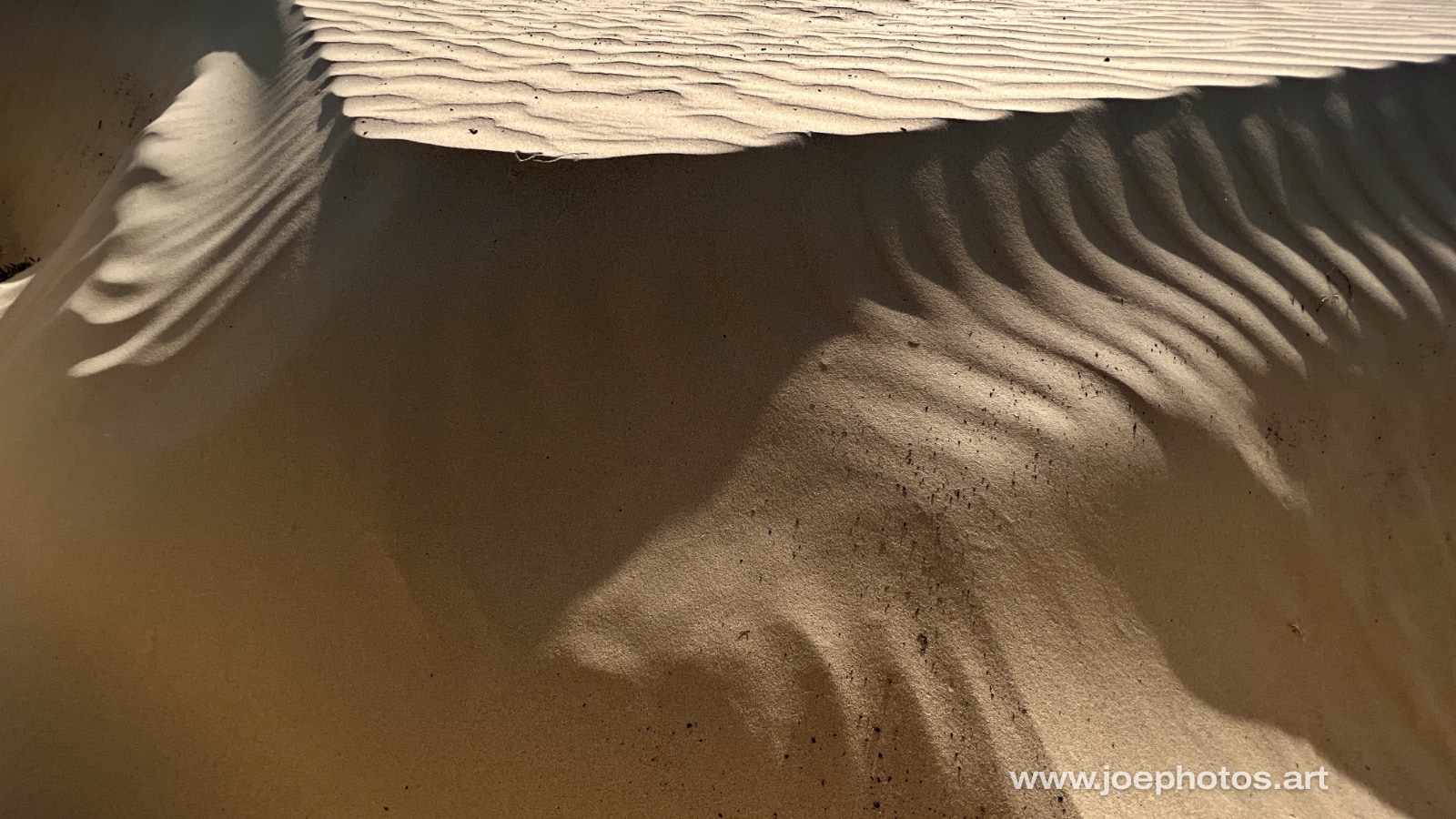Beach sand dune ripples and edge.
