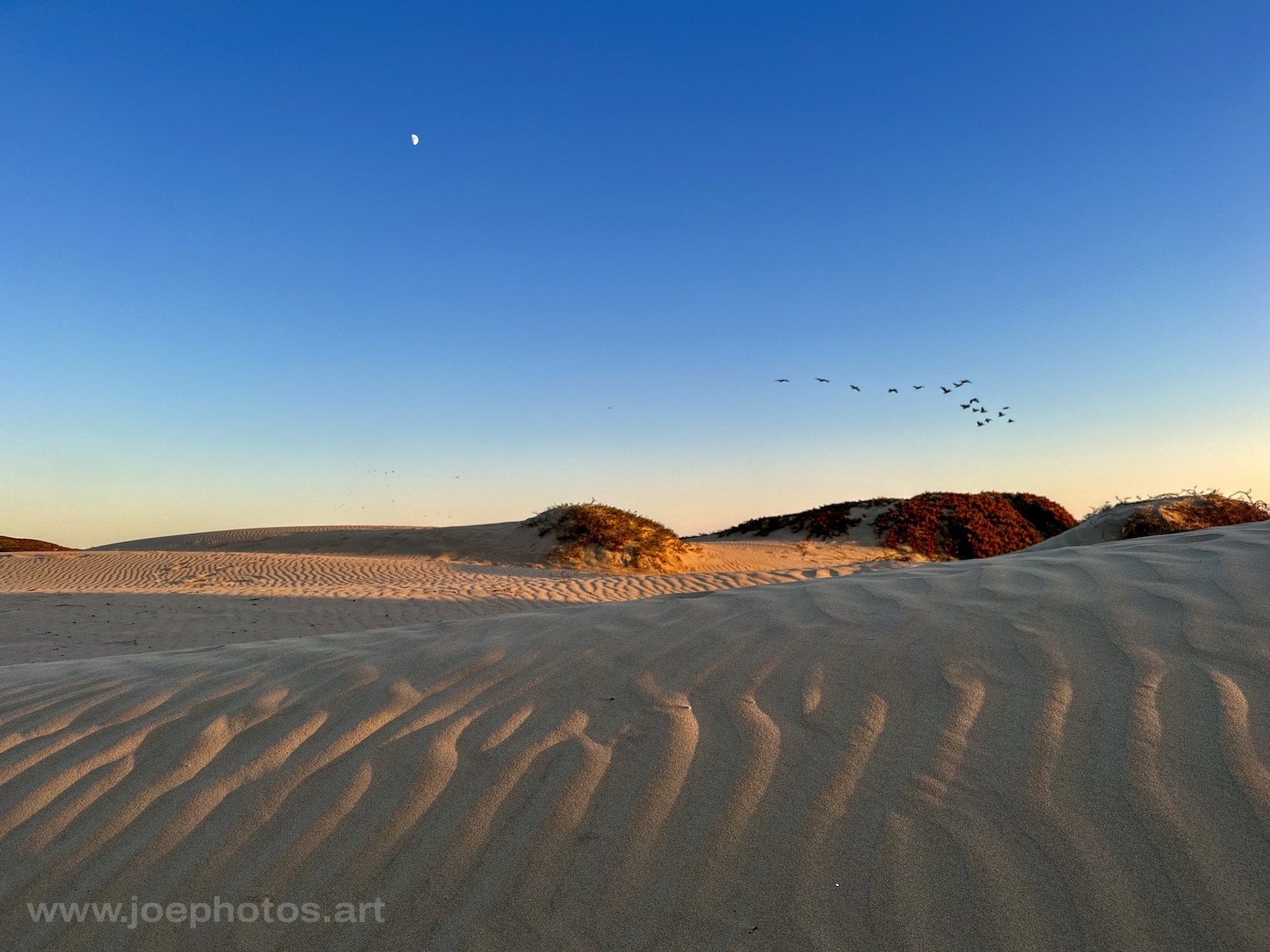 Sand dunes at sunset, Pismo Beach.