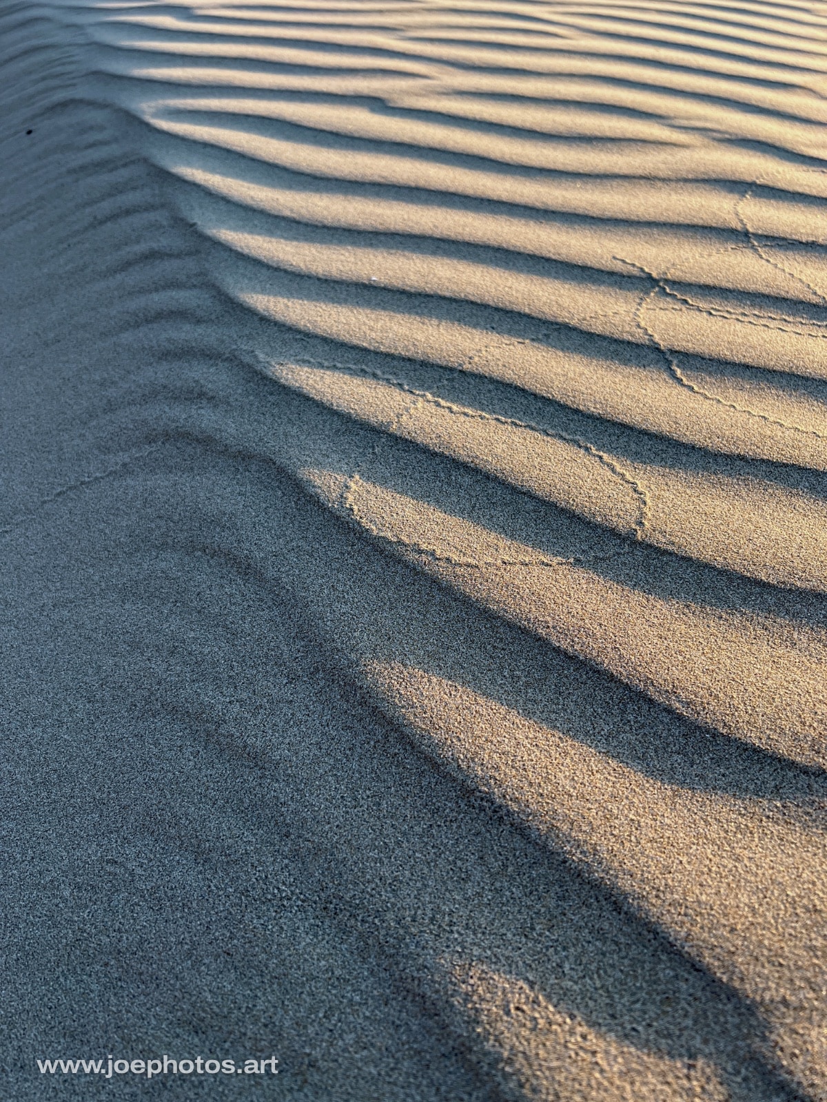 Sand dune ripples and trail.