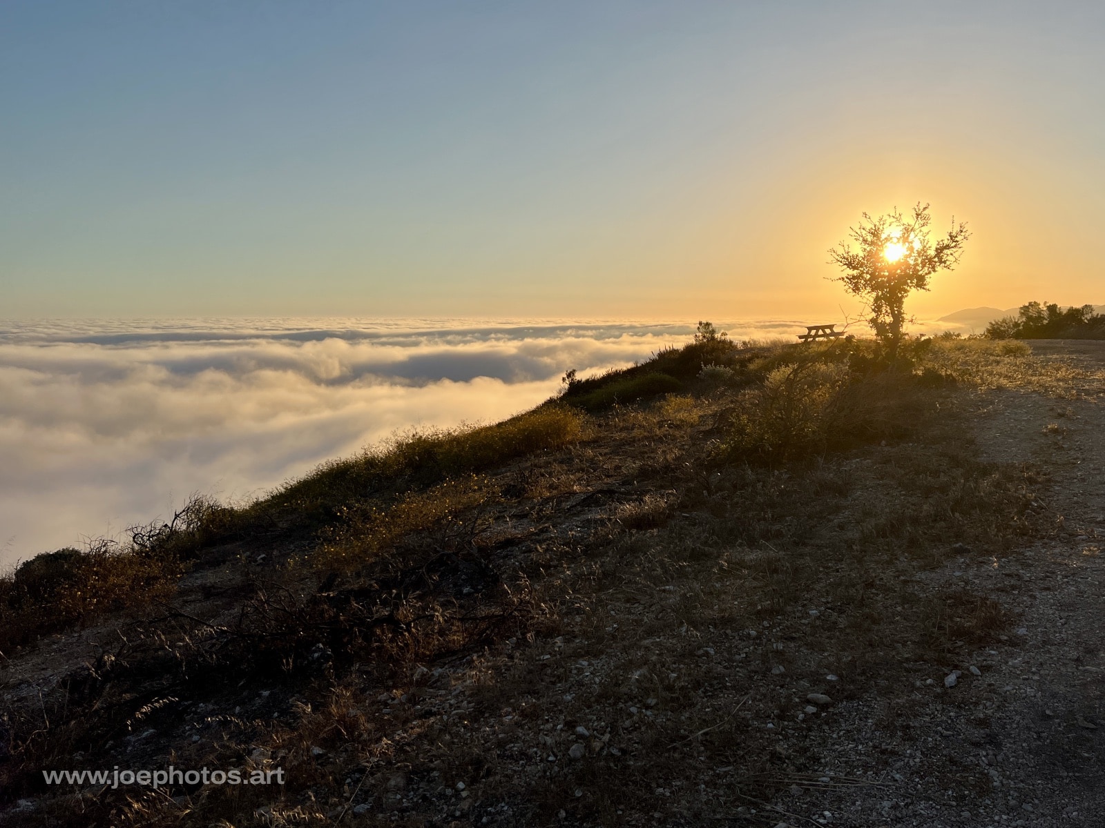 Hilltop above marine layer with bench at sunset.