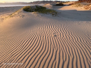sand dune ripples
