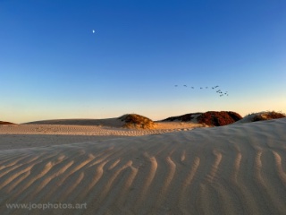 Sand dunes at sunset, Pismo Beach