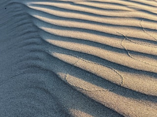 sand dune ripples and trail