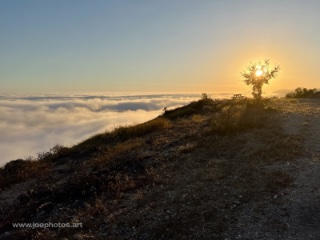 hilltop above marine layer with bench at sunset