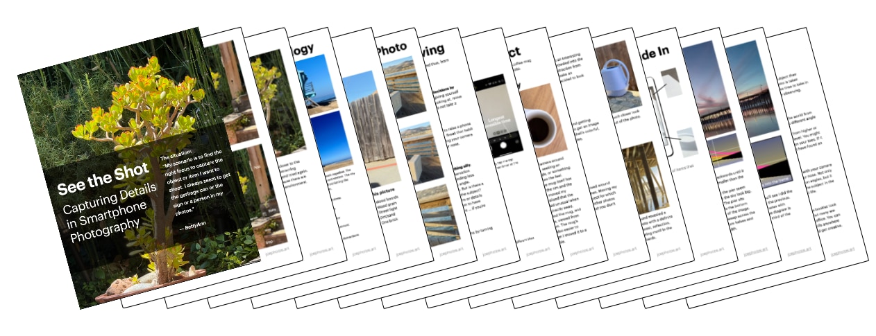 New eBook: See the Shot